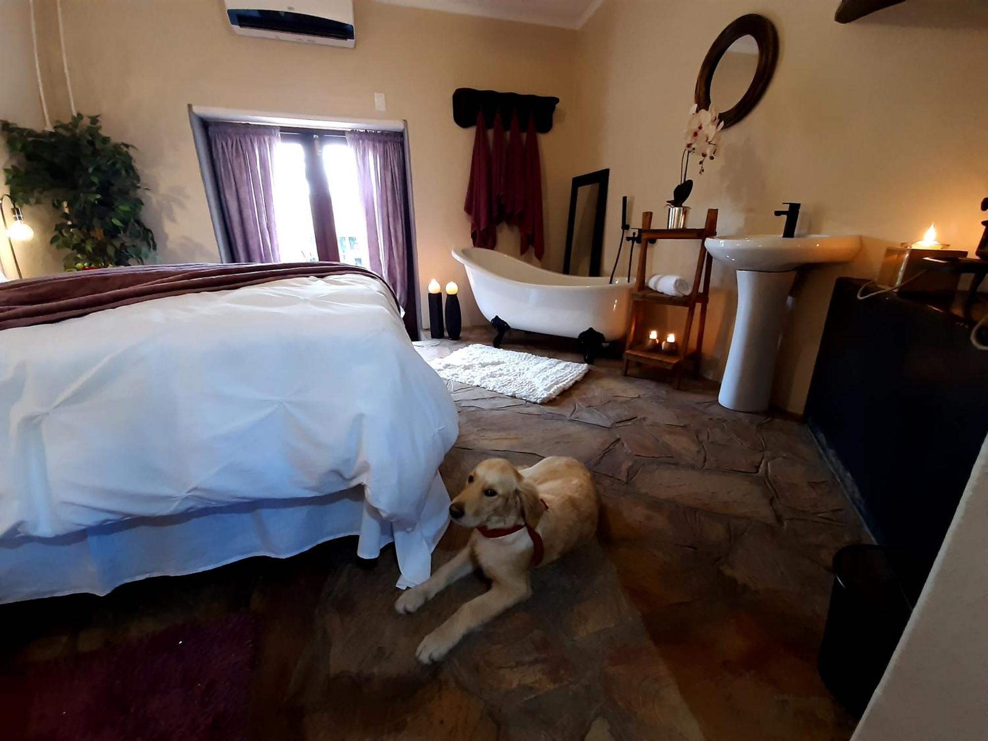 Ferienwohnung Rosenhof Manor House - Since 1847 Clanwilliam Exterior foto